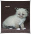 /album/amira/amira-5-hetes-005-jpg/